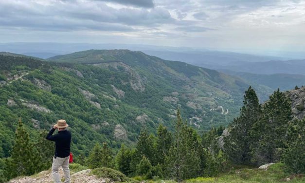 Un glacier au Quaternaire sur le mont Lozère … La vallée de Paillère