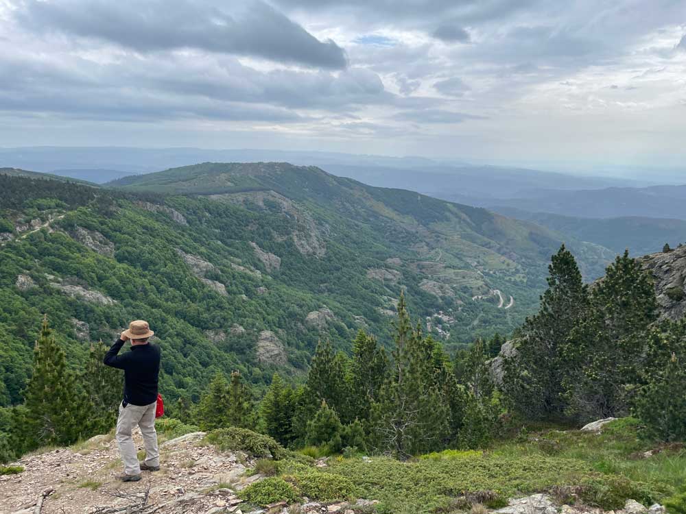 La vallée de Paillere - Villefort - Mont-Lozère