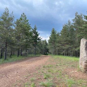 Randonnée des menhirs des Bondons