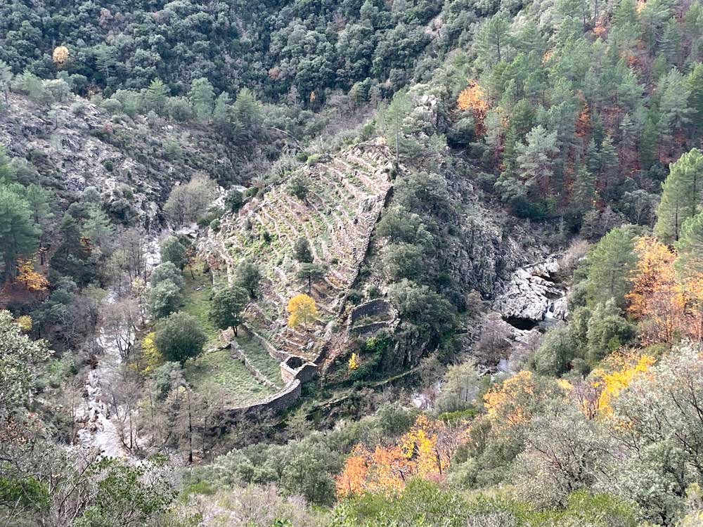 L'enclos de terrasses en pierres sèches de Murjas (Vallée de la Ganière -Brahic - Ardèche).