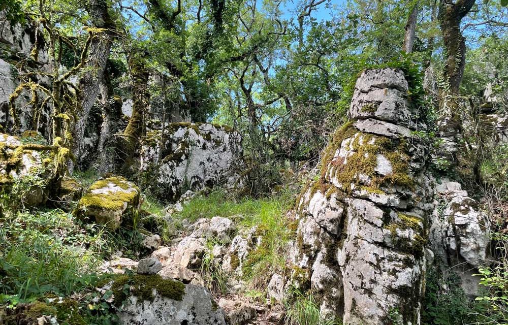 L’homme de Néandertal dans les gorges du Chassezac