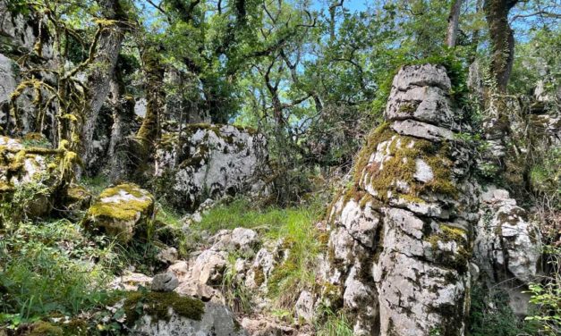 L’homme de Néandertal dans les gorges du Chassezac