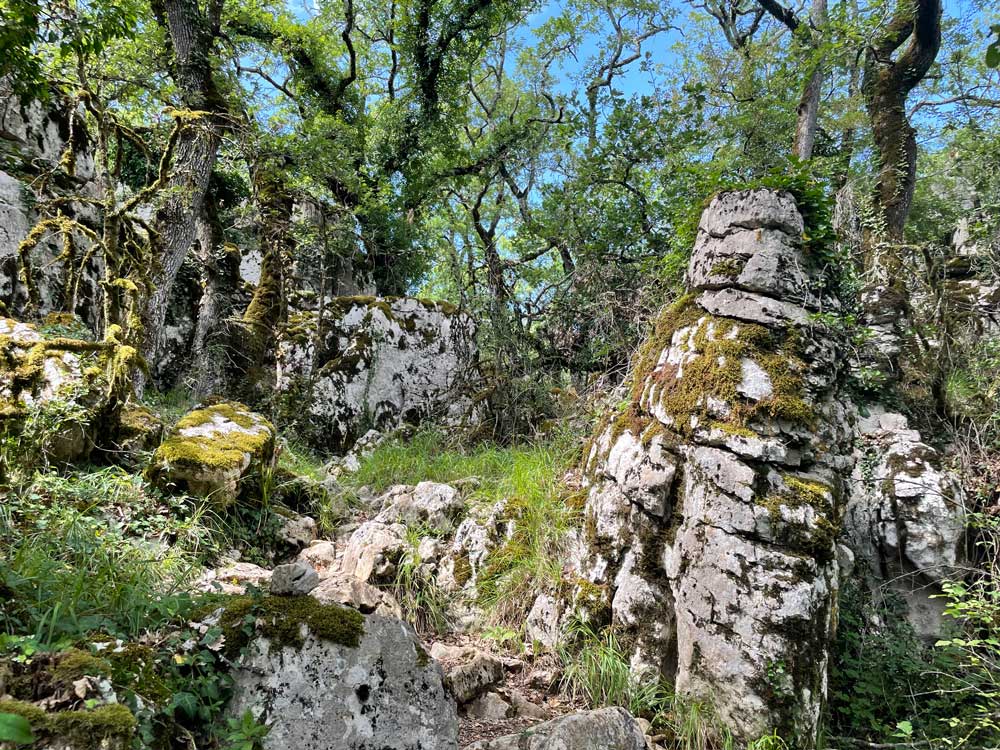 Plateau au dessus de l'abri des pêcheurs - Gorges du Chassezac - Ardèche