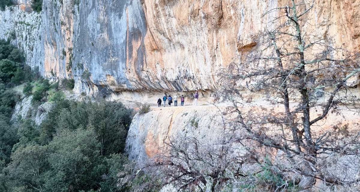 L’art pariétal à la grotte Chauvet
