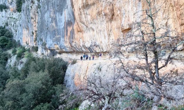 L’art pariétal à la grotte Chauvet