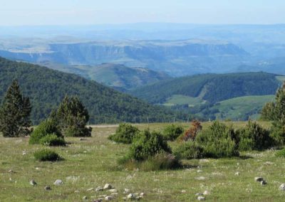 Vue vers le nord vers le Causse Méjean - Aigoual