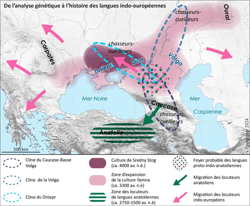 Carte de Vincent Capdepuy, 2024, à partir de l'érude de Lazaridis, et al., « The Genetic Origin of the Indo-Europeans », biorxiv.org, 18 avril 2024.