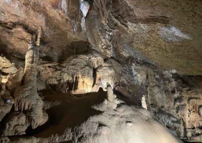 Les calcifications de la grotte de Trabuc (Mialet)