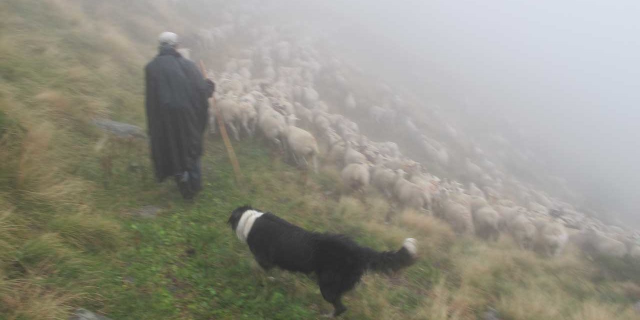 La légende de la Vieille morte révélée