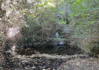 Tencat et gourgue vers la Bastide (Vallée Obscure, Peyrolles)