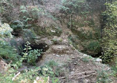 Tencat du chemin de la Bastide (Vallée Obscure, Peyrolles)