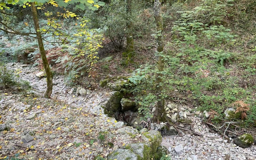 Réhabilitation des tancats en Vallée Obscure à Peyrolles