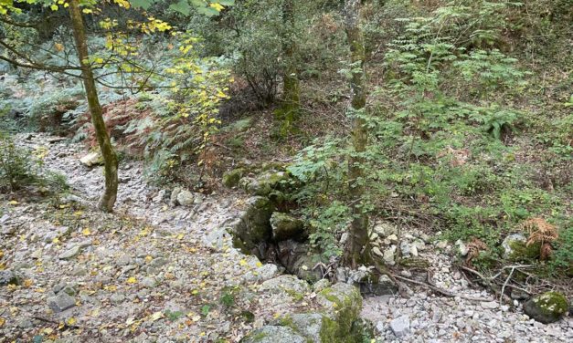 Réhabilitation des tancats en Vallée Obscure à Peyrolles