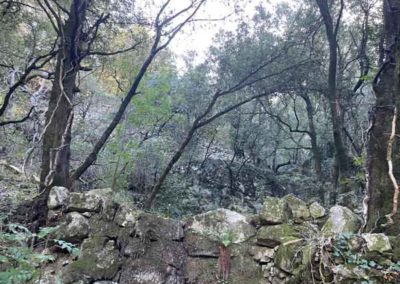 Terrasses vers la Fayssole, Vallée Obscure, Peyrolles, Vallée Borgne