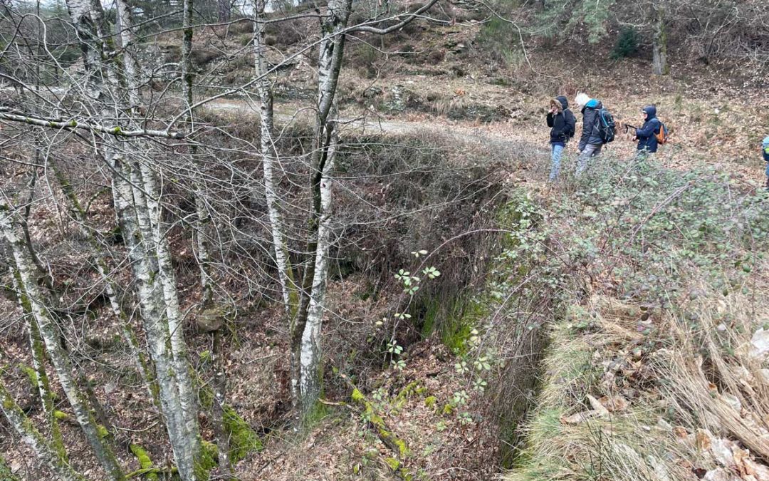 La voie royale de Fontmort