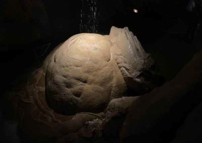 Grotte de la Cocalière - Concrétion de calcite