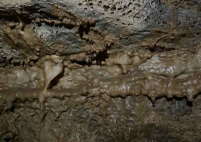 Formation en cours de concrétions de calcite - Grotte de la Cocalière