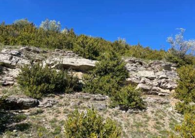 Bancs de calcaire - Versant sud du causse Méjean vers la grotte de Nabrigas