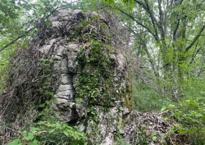 Karst superficiel de la Cocalière - pilier calcaire