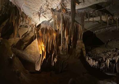 Le plafond de la grotte de la Cocalière