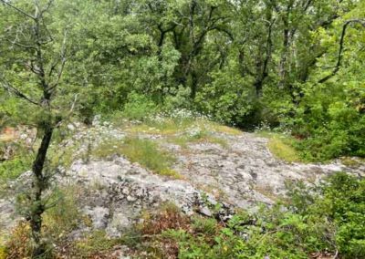 Karst superficiel de la Cocalière - Plateau dans les calcaires thitoniens du Jurassique