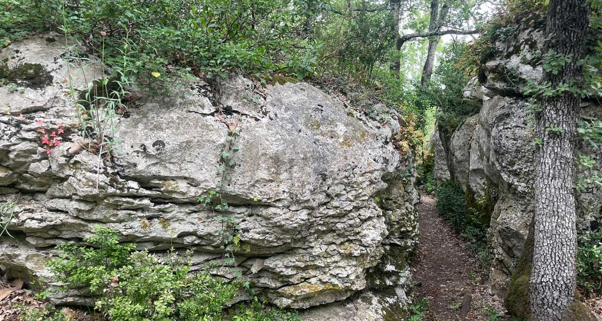 Le karst superficiel de la Cocalière