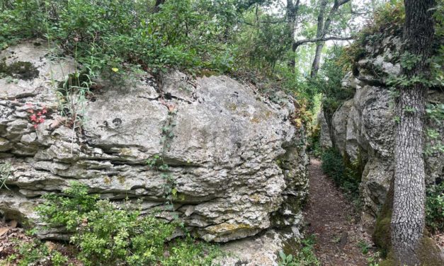 Le karst superficiel de la Cocalière