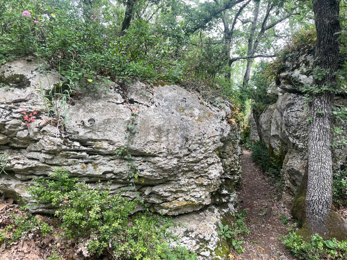 Le sentier d'interprétation du karst de la Cocalière