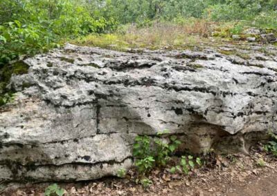 Karst superficiel de la Cocalière - Lapiés